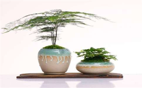 1526869596699233.jpg 0139f728-99f2-4f27-8a58-00762b73551a.jpg