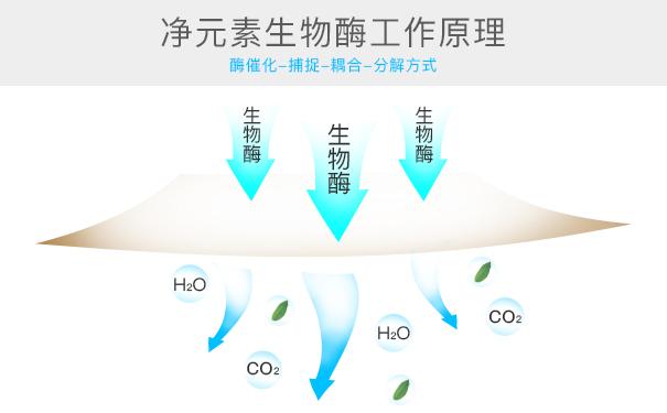 光觸媒、生物酶、空氣凈化器，哪家除甲醛公司效果好？